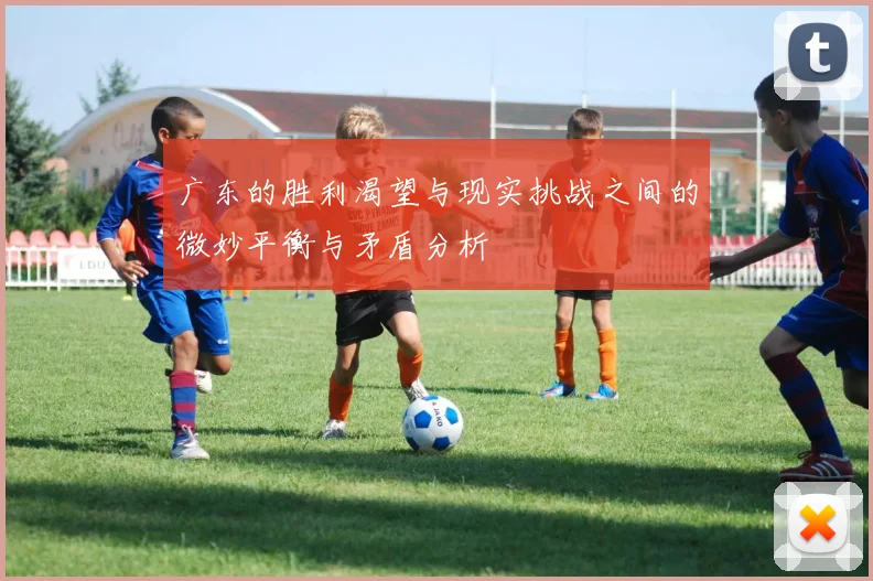 广东的胜利渴望与现实挑战之间的微妙平衡与矛盾分析